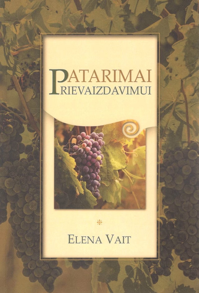 Patarimai prievaizdavimui